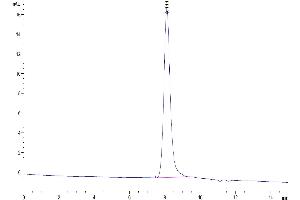 Reticulon 4 Protein (RTN4) (AA 27-447) (His tag)