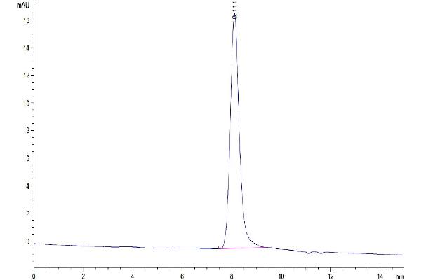 Reticulon 4 Protein (RTN4) (AA 27-447) (His tag)