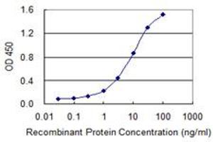 Detection limit for recombinant GST tagged FIS1 is 0. (Fission 1 antibody  (AA 1-100))