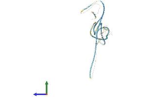 AlphaFold protein structure predicition of Mouse Recombinant Ccdc18 Protein, UniprotID Q640L5