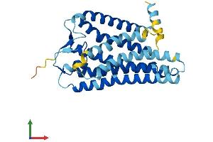 AlphaFold protein structure predicition of Human Recombinant OR12D2 Protein, UniprotID P58182