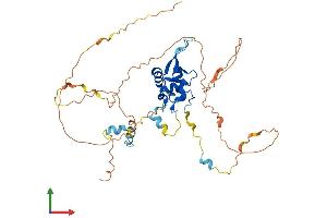 AlphaFold protein structure predicition of Mouse Recombinant Foxh1 Protein, UniprotID O88621 (FOXH1 Protein (AA 1-401) (His tag))