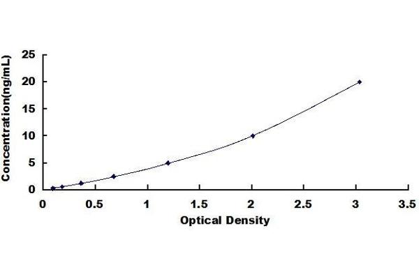 MMP2 ELISA Kit