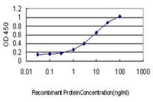 Detection limit for recombinant GST tagged SH3BP2 is approximately 0. (SH3BP2 antibody  (AA 452-561))