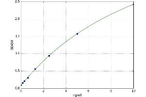 serine/threonine Kinase 11 (STK11) ELISA Kit