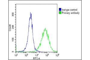 Overlay histogram showing Hela cells stained with (ABIN6243231 and ABIN6578796)(green line). (HSD17B10 antibody  (AA 14-48))