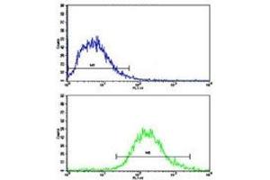 Flow cytometric analysis of Jurkat cells using MERTK antibody (bottom histogram) compared to a negative control (top histogram). (MERTK antibody)