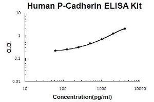Human P-Cadherin PicoKine ELISA Kit standard curve