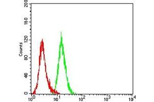 Flow cytometric analysis of Hela cells using MSLN mouse mAb (green) and negative control (red). (Mesothelin antibody  (AA 37-286))