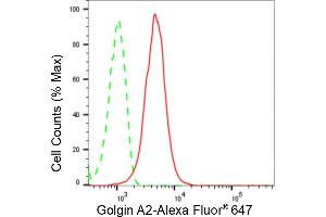 Flow cytometric analysis of Golgin A2 expression in HepG2 cells using Golgin A2 antibody (ABIN7798797), 1:2,000).