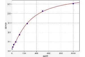 GRO gamma ELISA Kit