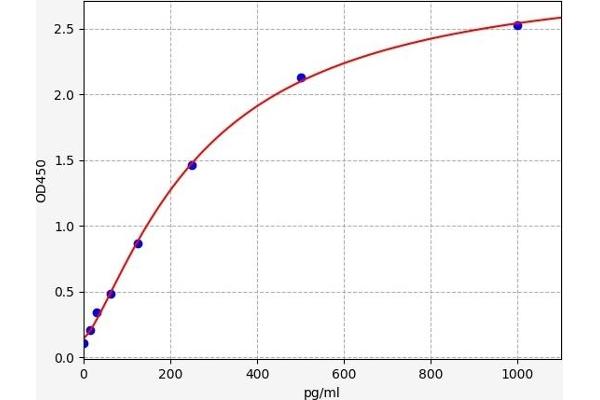 GRO gamma ELISA Kit