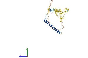 AlphaFold protein structure predicition of Human Recombinant MBD3L3 Protein, UniprotID A6NE82 (MBD3L3 Protein (AA 1-208) (His tag))