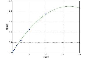 SMAD, Mothers Against DPP Homolog 2 (SMAD2) ELISA Kit