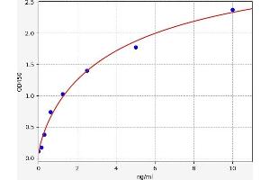 HMGCR ELISA Kit