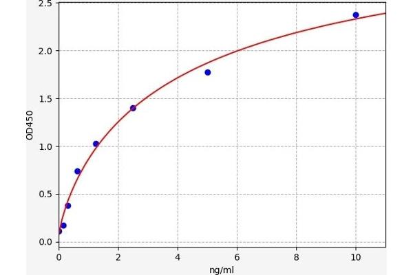 HMGCR ELISA Kit