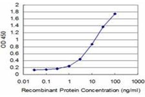 Detection limit for recombinant GST tagged HD is approximately 0. (Huntingtin antibody  (AA 81-190))