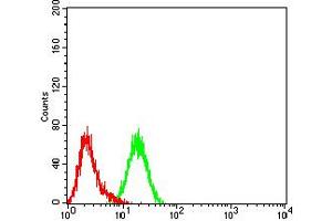 Flow cytometric analysis of K562 cells using CD119 mouse mAb (green) and negative control (red). (IFNGR1 antibody  (AA 18-245))