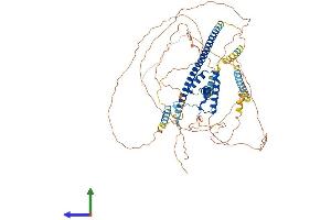 Protein Structure (PS) image for SRY (Sex Determining Region Y)-Box 5 (SOX5) (AA 1-763) protein (His tag) (ABIN7546297)