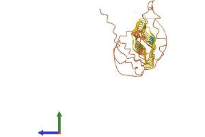 AlphaFold protein structure predicition of Human Recombinant KRTAP5-4 Protein, UniprotID Q6L8H1