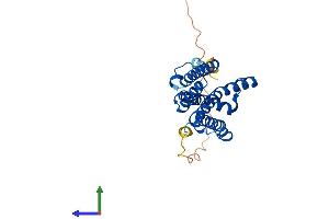 AlphaFold protein structure predicition of Human Recombinant STEAP1B Protein, UniprotID Q6NZ63