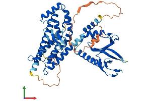 AlphaFold protein structure predicition of Mouse Recombinant Arhgef4 Protein, UniprotID Q7TNR9 (ARHGEF4 Protein (AA 1-484) (His tag))