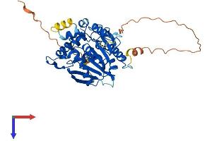 NDRG3 Protein (AA 1-375) (His tag)