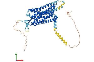 Protein Structure (PS) image for Neuropeptide FF Receptor 2 (NPFF2) (AA 1-417) protein (His tag) (ABIN7560253)