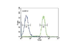 HSD17B2 Antibody (Center) (ABIN651318 and ABIN2840185) flow cytometric analysis of MDA-M cells (right histogram) compared to a negative control cell (left histogram). (HSD17B2 antibody  (AA 265-294))