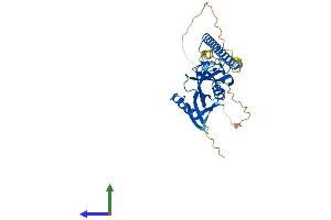 AlphaFold protein structure predicition of Human Recombinant RASSF4 Protein, UniprotID Q9H2L5