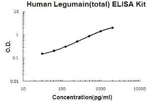 Human Legumain(total) PicoKine ELISA Kit standard curve (LGMN ELISA Kit)