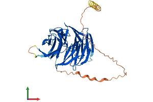 Protein Structure (PS) image for PAK1 Interacting Protein 1 (PAK1IP1) (AA 1-392) protein (His tag) (ABIN7550717)