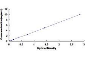 ELISA image for Calsyntenin 2 (CLSTN2) ELISA Kit (ABIN421789) (Calsyntenin 2 ELISA Kit)