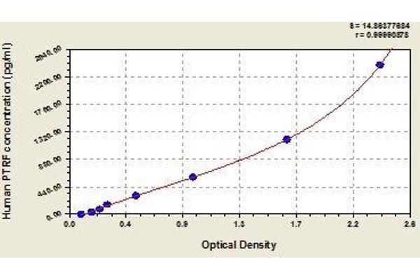 PTRF ELISA Kit