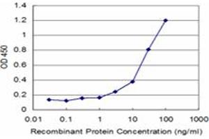 Detection limit for recombinant GST tagged FNTB is approximately 3ng/ml as a capture antibody. (FNTB antibody  (AA 1-437))