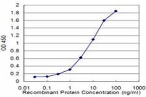 Detection limit for recombinant GST tagged MYOC is approximately 0. (MYOC antibody  (AA 1-504))