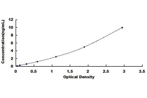 RBM3 ELISA Kit