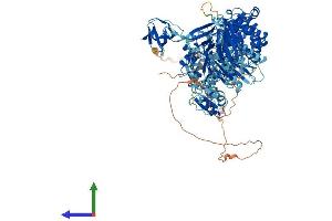 Protein Structure (PS) image for Myosin IE (MYO1E) (AA 1-1107) protein (His tag) (ABIN7562130)