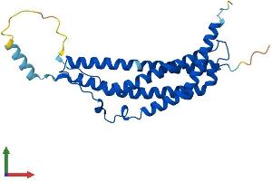 AlphaFold protein structure predicition of Human Recombinant PSME1 Protein, UniprotID Q06323