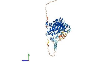 AlphaFold protein structure predicition of Human Recombinant P4HTM Protein, UniprotID Q9NXG6 (P4HTM Protein (AA 1-502) (His tag))
