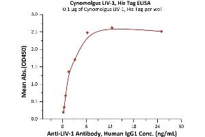 Immobilized Cynomolgus LIV-1, His Tag (ABIN6992405) at 1 μg/mL (100 μL/well) can bind Anti-LIV-1 Antibody, Human IgG1 with a linear range of 0. (SLC39A6 Protein (AA 21-309) (His tag))