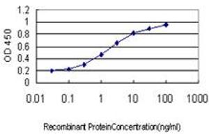 Detection limit for recombinant GST tagged RALGPS2 is approximately 0. (RALGPS2 antibody  (AA 282-386))