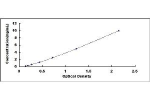 Typical standard curve (Cytokeratin 18 ELISA Kit)