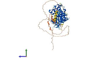AlphaFold protein structure predicition of Mouse Recombinant Gm4922 Protein, UniprotID Q8C0N0 (Gm4922 Protein (AA 1-497) (His tag))