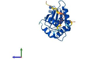 AlphaFold protein structure predicition of Mouse Recombinant Dusp13a Protein, UniprotID Q6B8I0
