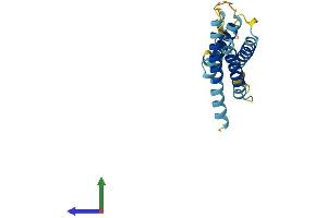 AlphaFold protein structure predicition of Mouse Recombinant Cmtm8 Protein, UniprotID Q9CZR4 (CMTM8 Protein (AA 1-173) (His tag))