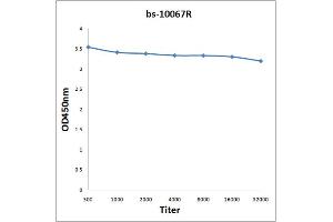 Antigen: 0. (ROR1 antibody  (AA 301-360))