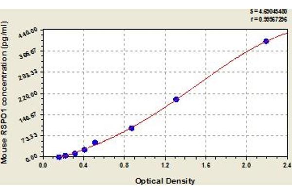 RSPO1 ELISA Kit