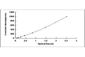 Typical standard curve (CCR5 ELISA Kit)