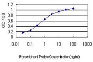 Detection limit for recombinant GST tagged ZNF265 is approximately 0. (ZNF265 antibody  (AA 1-106))